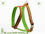 B256 Geschirr C+W orange