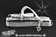 B135-1 Welpenset Blinden-Fuerhund w